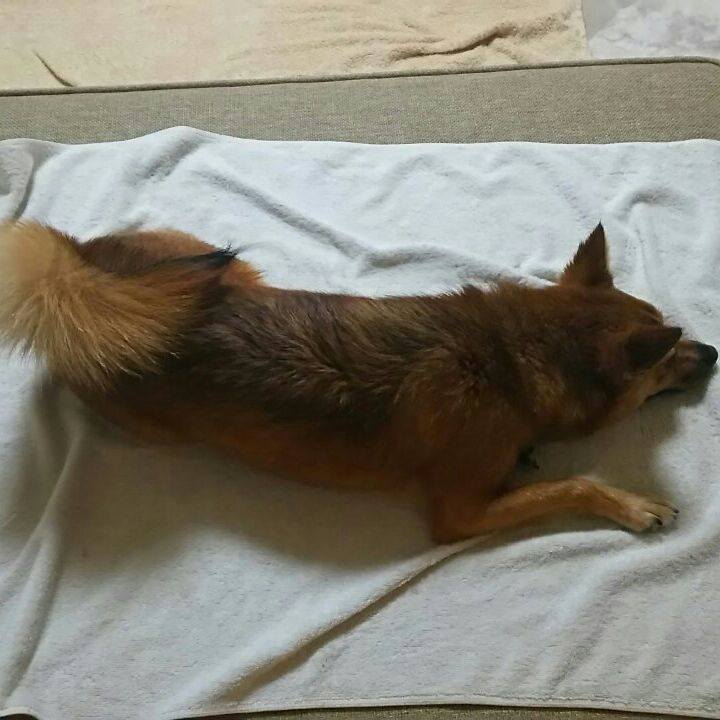 F7e481ce 66c0 40cd 977b 23d733c64002