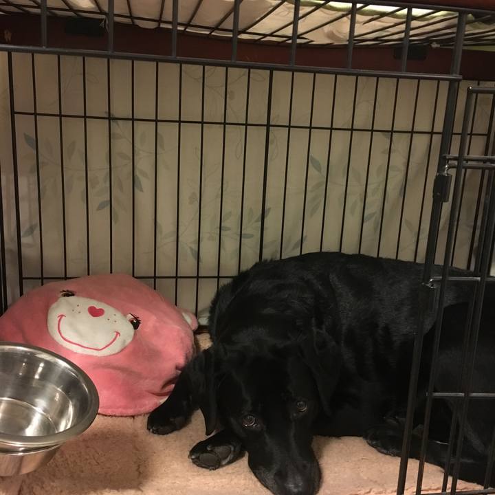 F7e4a2ef a3b3 410c 973e 98b68488e1e4