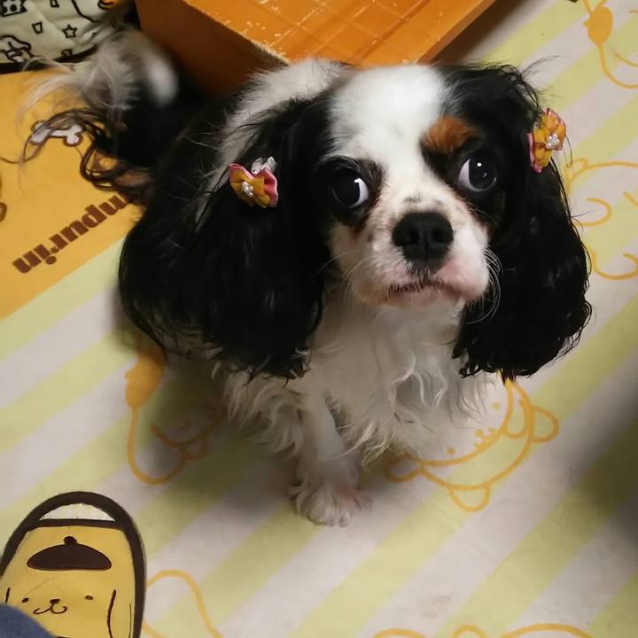 F7e4c11f f3b9 4859 8b3f f9452e9a2ef4