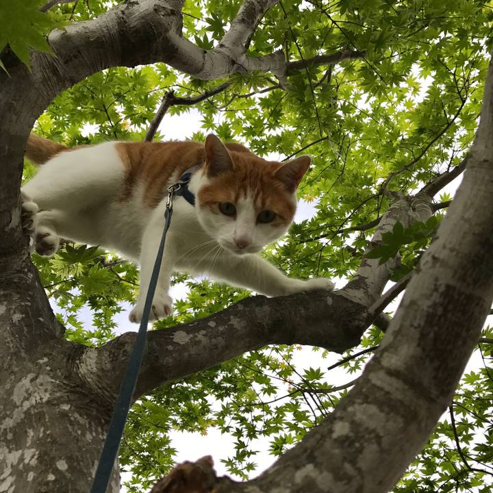 F7e4d367 0fc2 4376 be81 3f5966740051