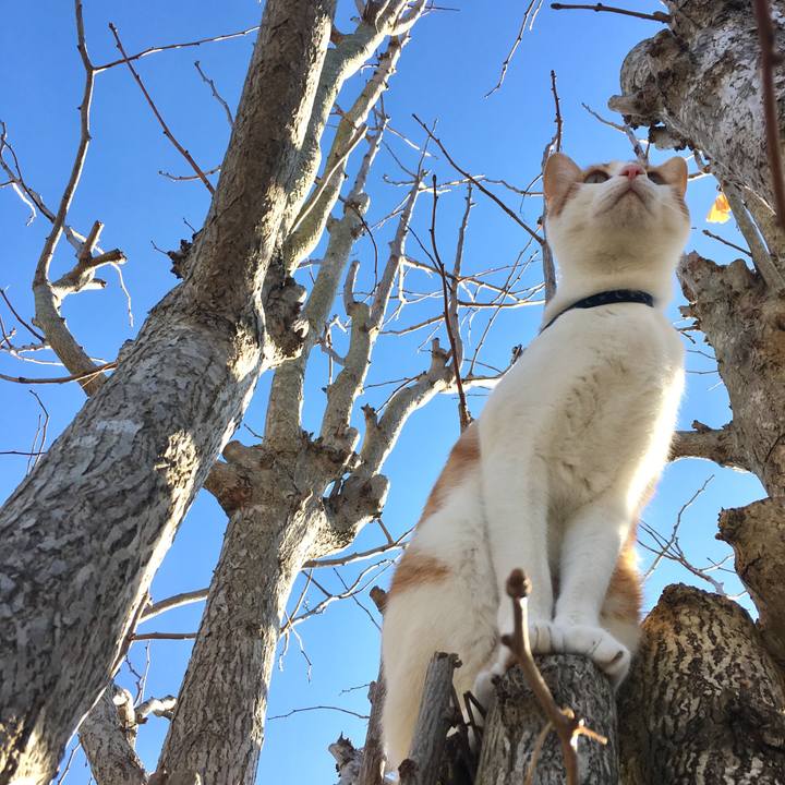 F7e4dc87 ffac 45ec 8387 e2f3c1e0d07e