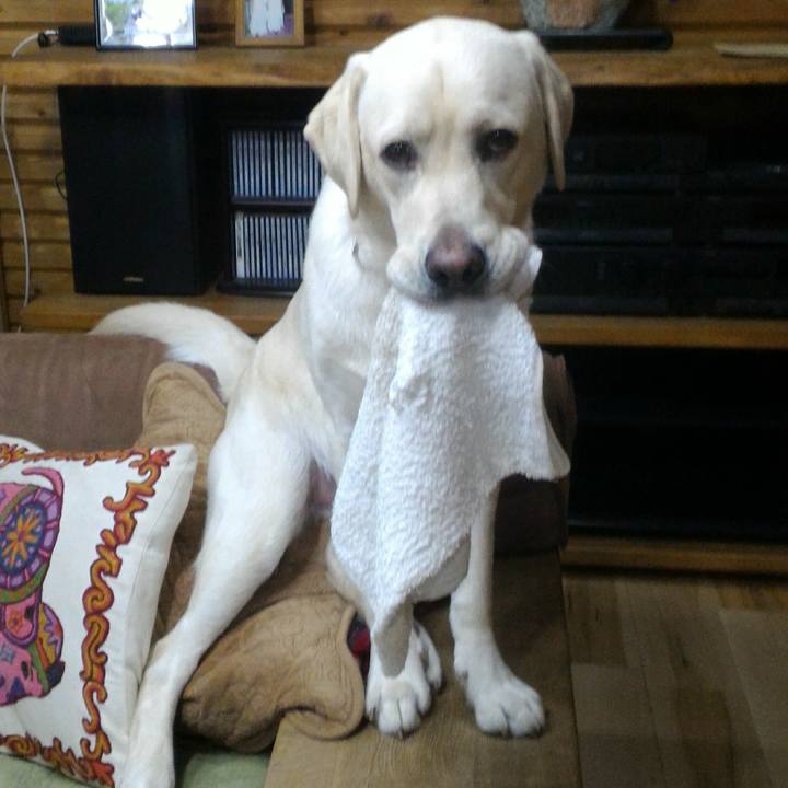 F7e56cbe 68bb 49e0 93d5 fbb129399d4c