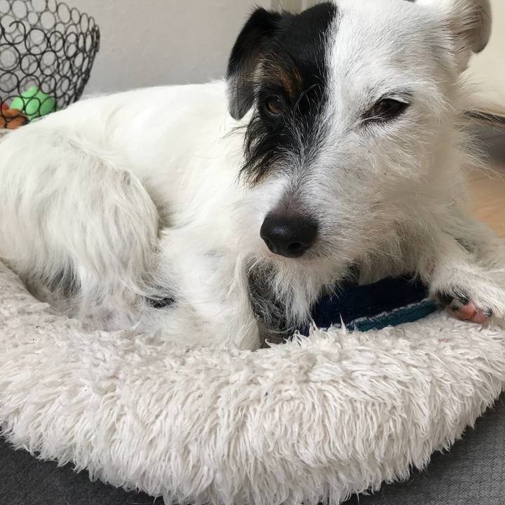 F7e5707e 8505 47dd acb3 31c0adc1e97e