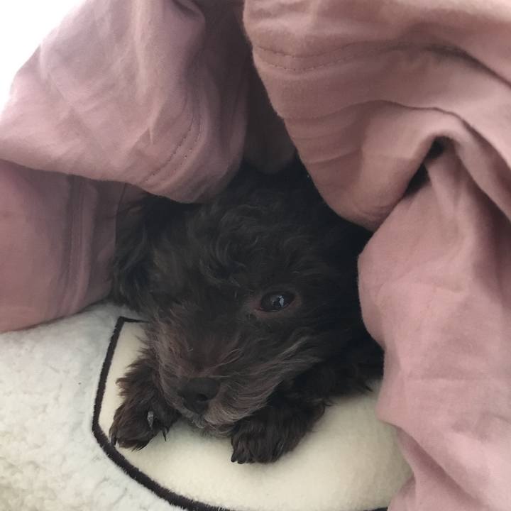 F7e58102 adb4 4cb9 aa1d bcaf4b7992dd