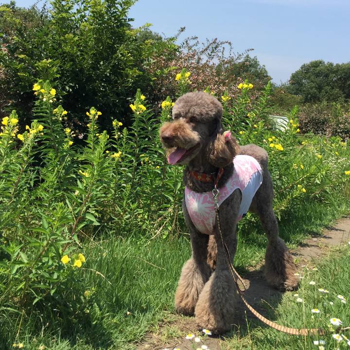 F7e59fdd a543 4d3c b66f 8e17c75a2cfb