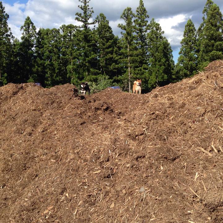 F7e5bad3 7ab0 4fe2 b4cf 03bb0ecdb8e1