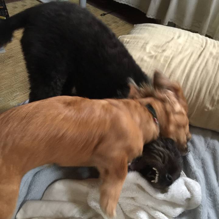 F7e5e74c b338 4bee 980f 5e31fe5a65b4