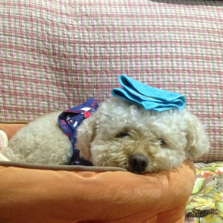 F7e65cab 22ed 42cf b0f0 11eb71c7e0a0