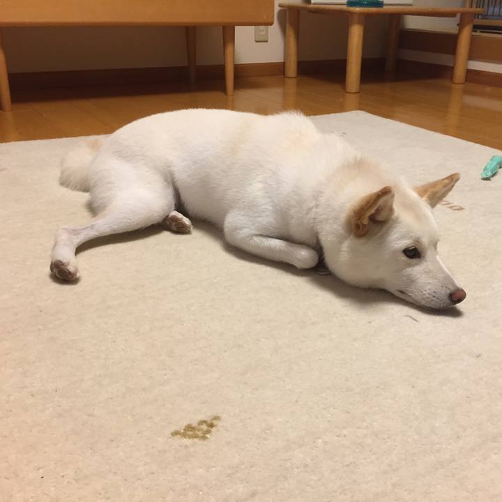 F7e66fd6 ac3d 4373 b5a5 a446e0274424