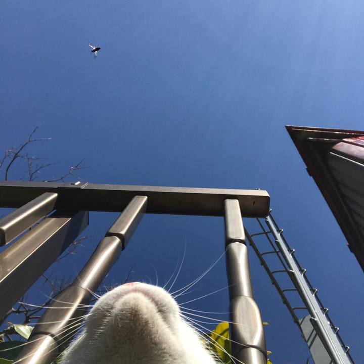 F7e67d3f 3caf 4a78 a625 675370af51d6