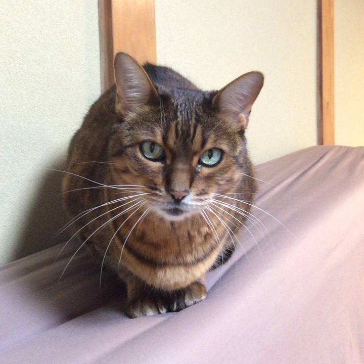 F7e68c77 8731 4c15 ad1b 5743a2043cfb