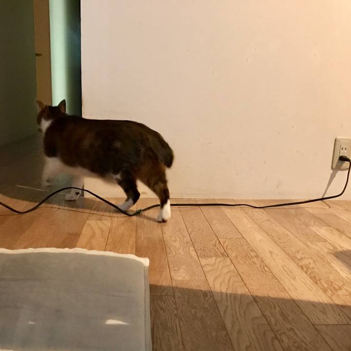 F7e6ba9b 8d88 4325 b468 1c7a51ab8bfe