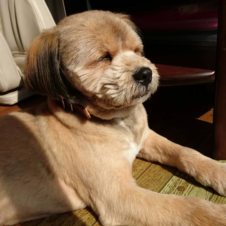 F7e70025 a4b6 4256 afbe 84f25be8f6e7