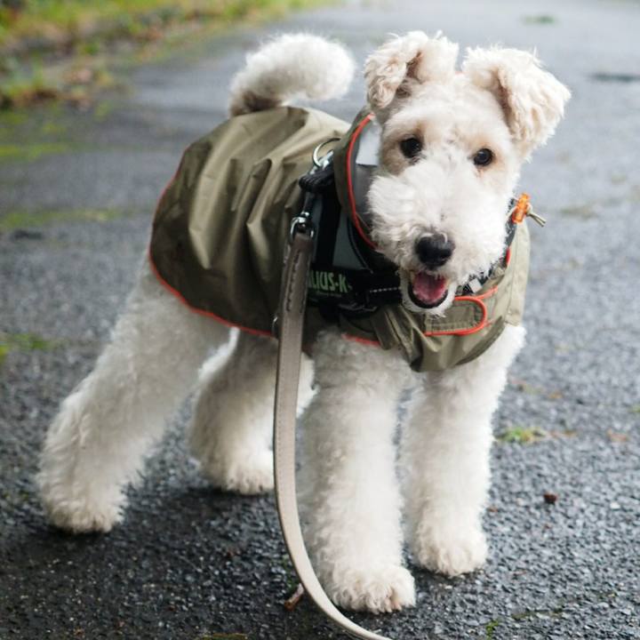 F7e7732e 6232 476d bd35 f95c60d01759