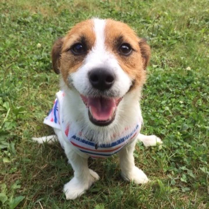 F7e7c928 0f45 4518 a48b 36dc5e49dff1