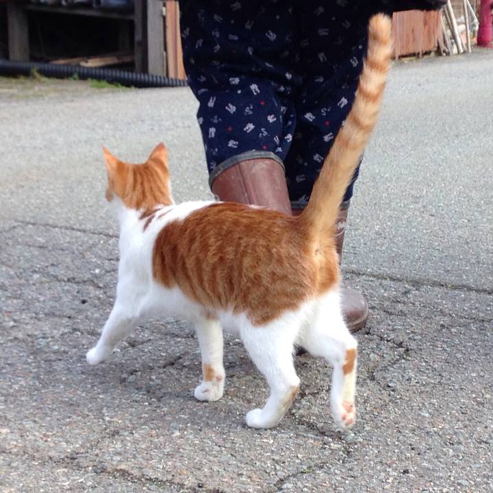 F7e7f0a9 2d3b 43ad 8fb5 d04ce58066ba