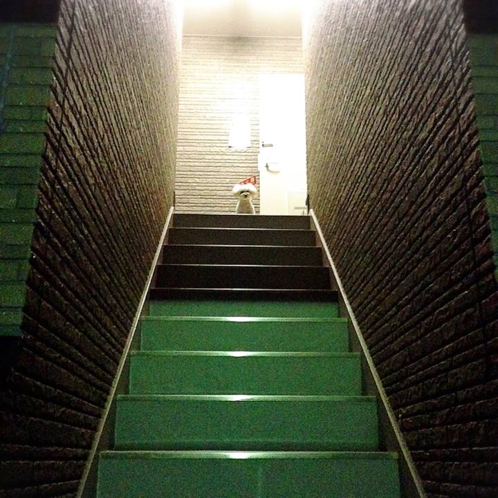 F7e86f9a 546a 4c92 b747 356a99c94c74