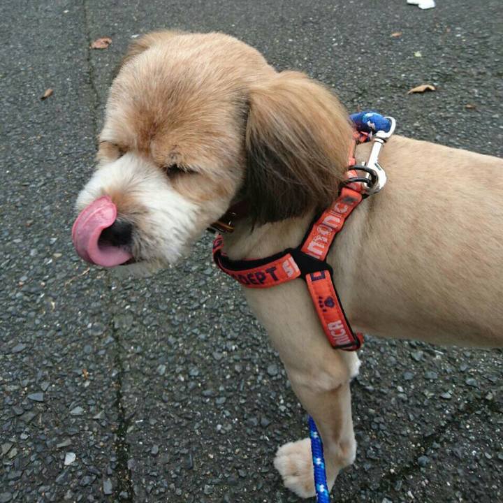 F7e9358a bac5 43c5 9f79 84b481bb4fee