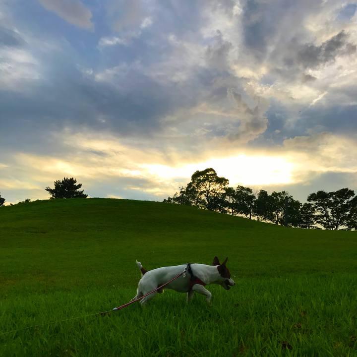 F7e956ff cd77 46d7 a1e8 660857f619bb