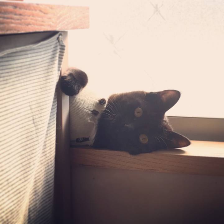 F7e9afa8 7034 4e4d a376 19cc6ecd42f7