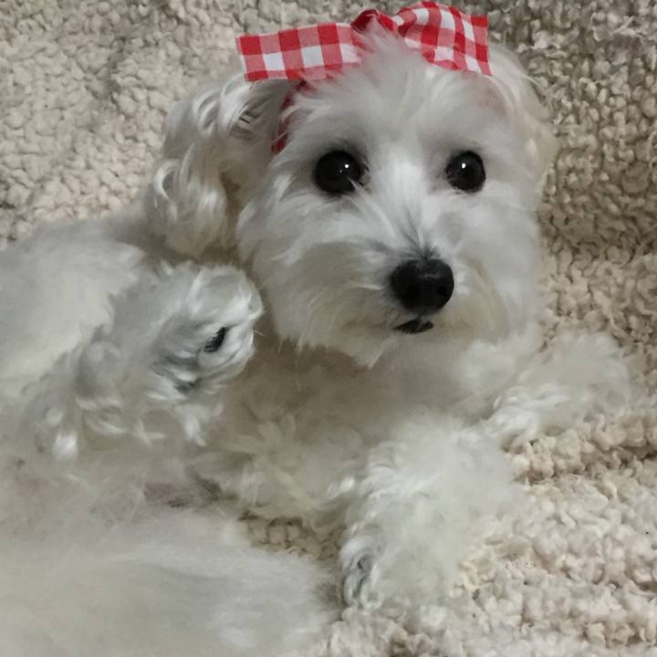 F7e9b5f6 3217 42ce acf1 176b235b4a2b