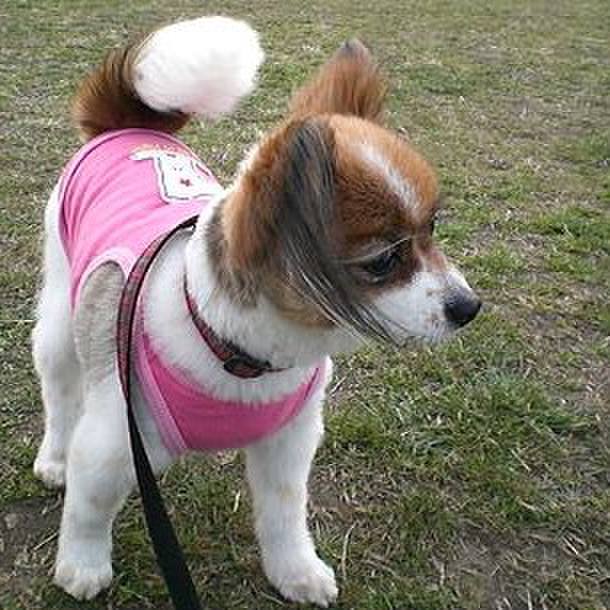 F7e9d9da 6bd9 4379 8300 c6671a574b51