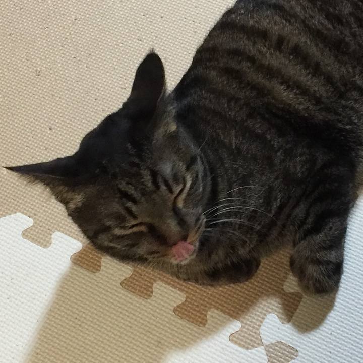 F7ea4978 d9cc 4a82 afc5 c23859d7ac03