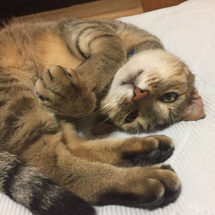 F7ea7074 20ba 4706 b283 75bfe2a3e523