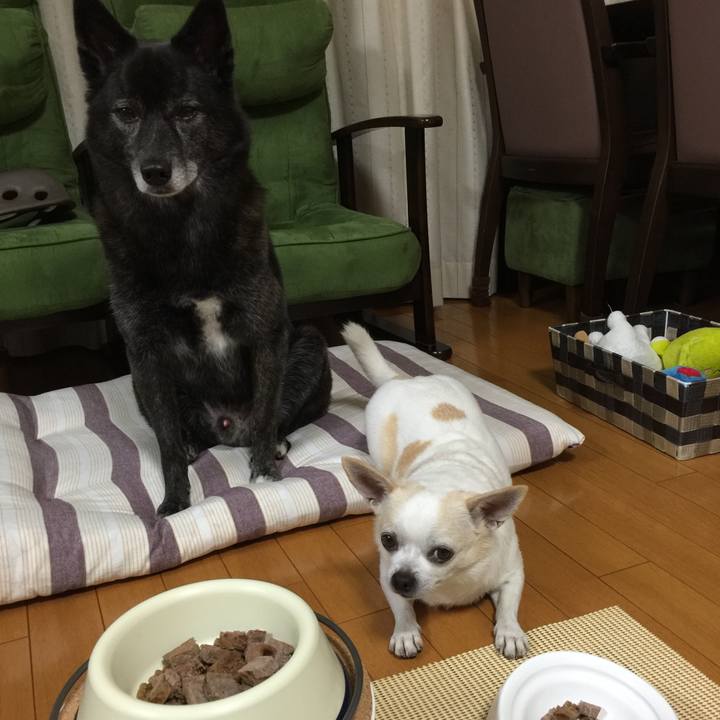 F7ea8ef6 714b 4cec bf12 3c7903b461bf