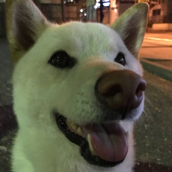 F7ea9296 addd 4140 906f e87536f22bfe