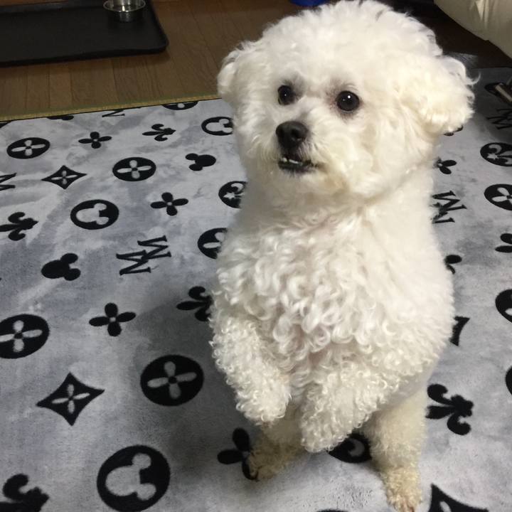 F7eacbc3 4266 4911 97e1 82d01157c286