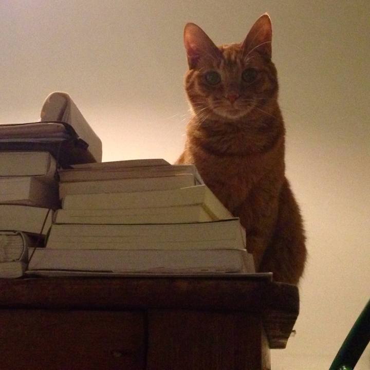 F7eacd37 a52b 4951 b9c5 e4389a45d83c