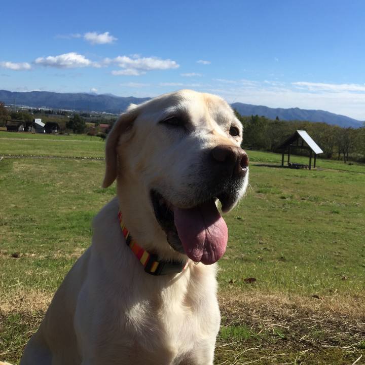 F7eb3c5f a61e 4bfa b472 76b2feae8366