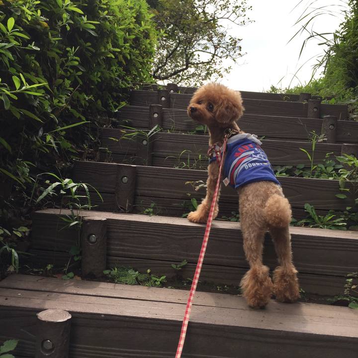 F7ec24e1 1661 49a2 97e5 ad232691a492