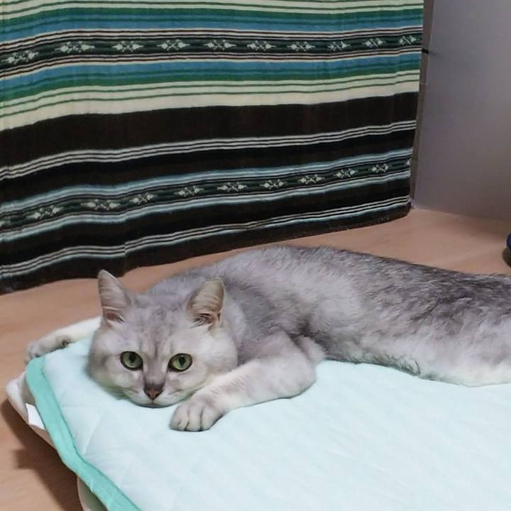 F7ec38e5 65c7 46c4 a8e2 99e221476604