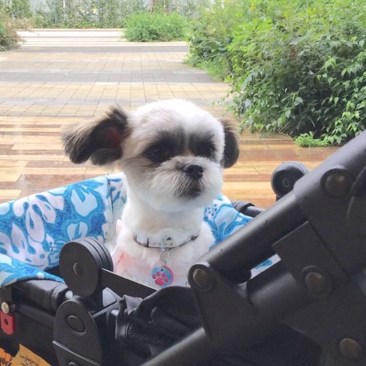 F7ec7180 07a3 43d8 9671 e3e617d61e4f