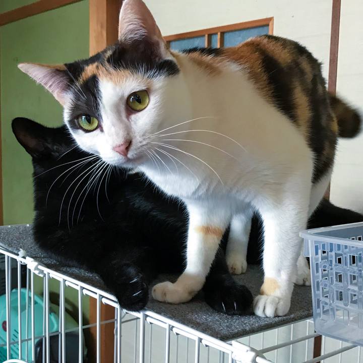 F7ec99cc 6f96 499b a355 2a056da015a8