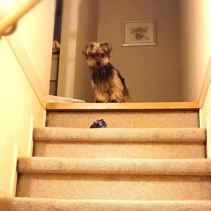 F7ecaa80 64c0 41de a312 91042f0231ab