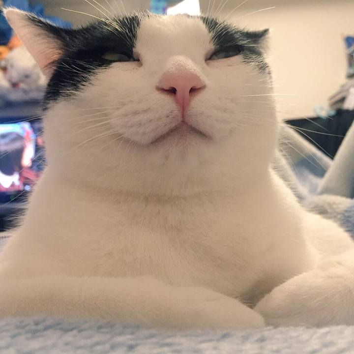 F7ed16db 6771 4e48 87b9 42db80762c02