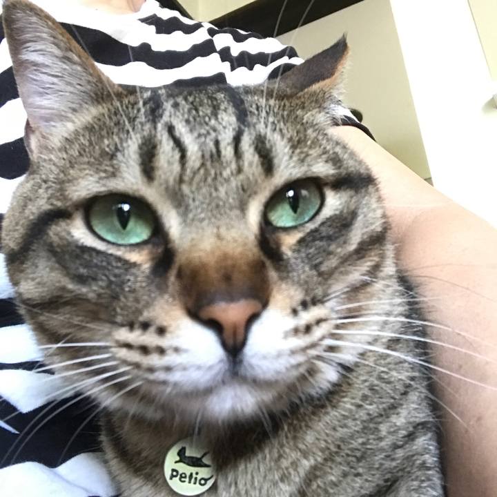 F7ed3500 af04 4ea5 a2f7 fc55b7b5f80d