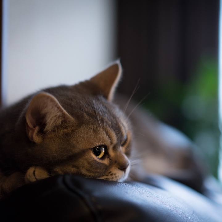 F7edc6f2 5ed1 4afc afc7 d1d638cd4e63