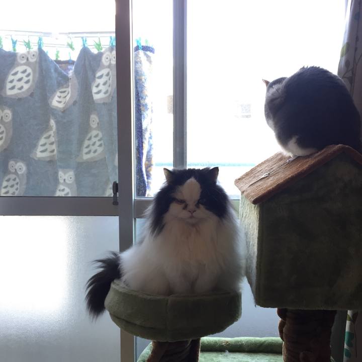 F7edcfe0 a11d 4d38 82fc cd27f5d9e74e