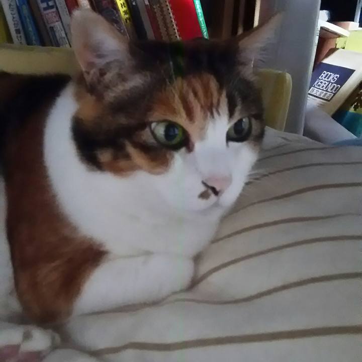 F7ee1a28 9bc3 46cf a8e4 a406a5777da2