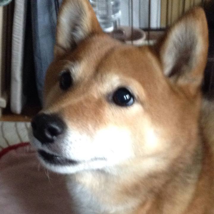 F7ee392c 2005 41e0 bdf7 caf90e464b52