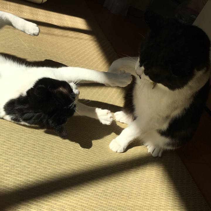 F7ee4a70 1377 434f 893f ef076a0740e7