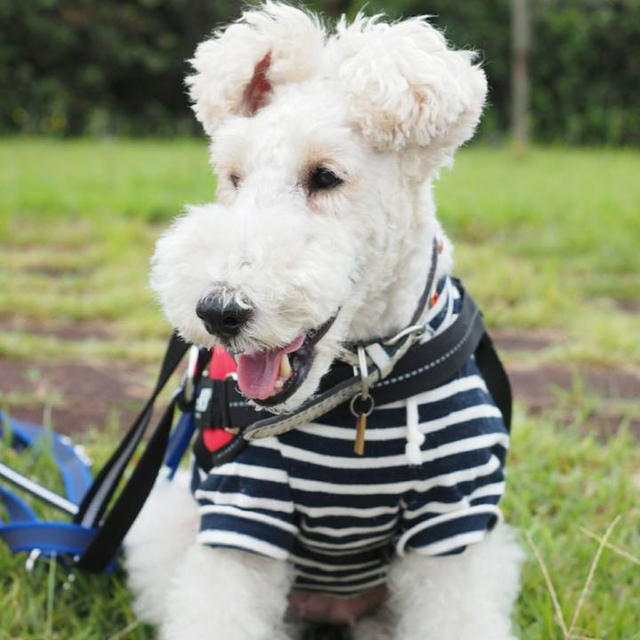 F7ef63cb b47c 410c 9688 04297a819686