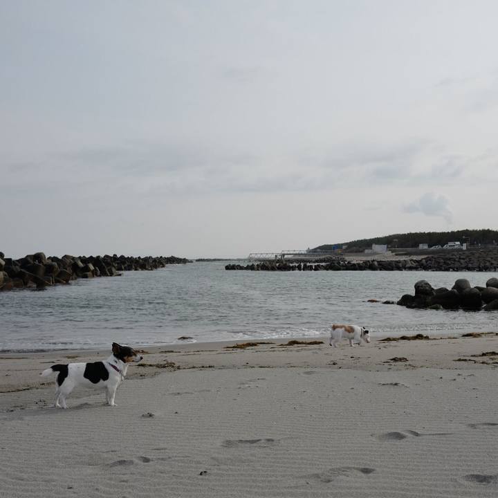 F7ef96f2 9dc7 4c07 bcf4 adaeceeb4890