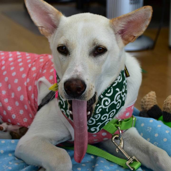 F7efd4fd bb74 4d21 b40b 08ee919630eb