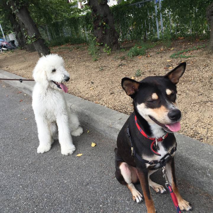 F7f02728 45de 407f a47d 10a72a8bc997