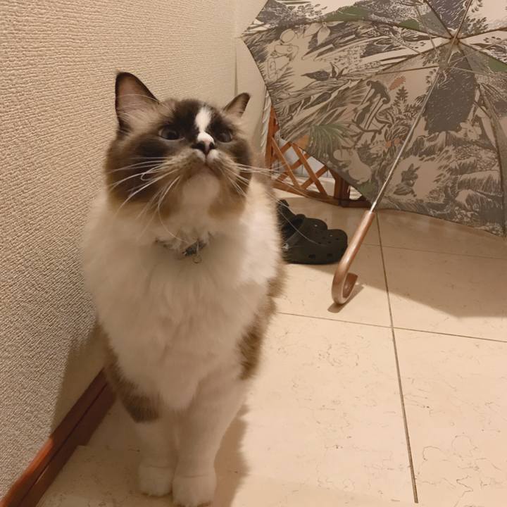 F7f02bc9 585b 40e3 ac6f d08f3a7ee91f